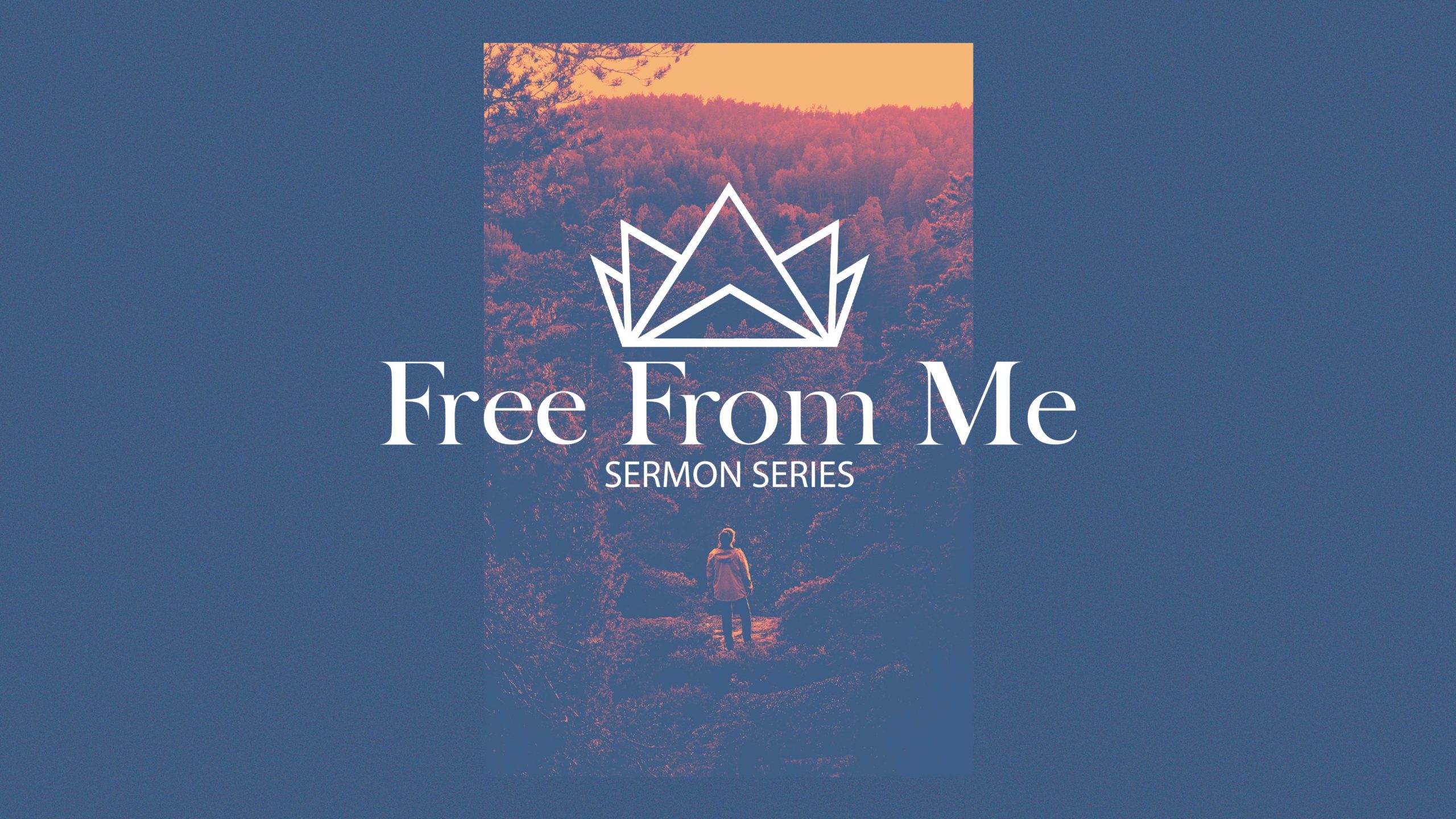 Free From Me - Week 2