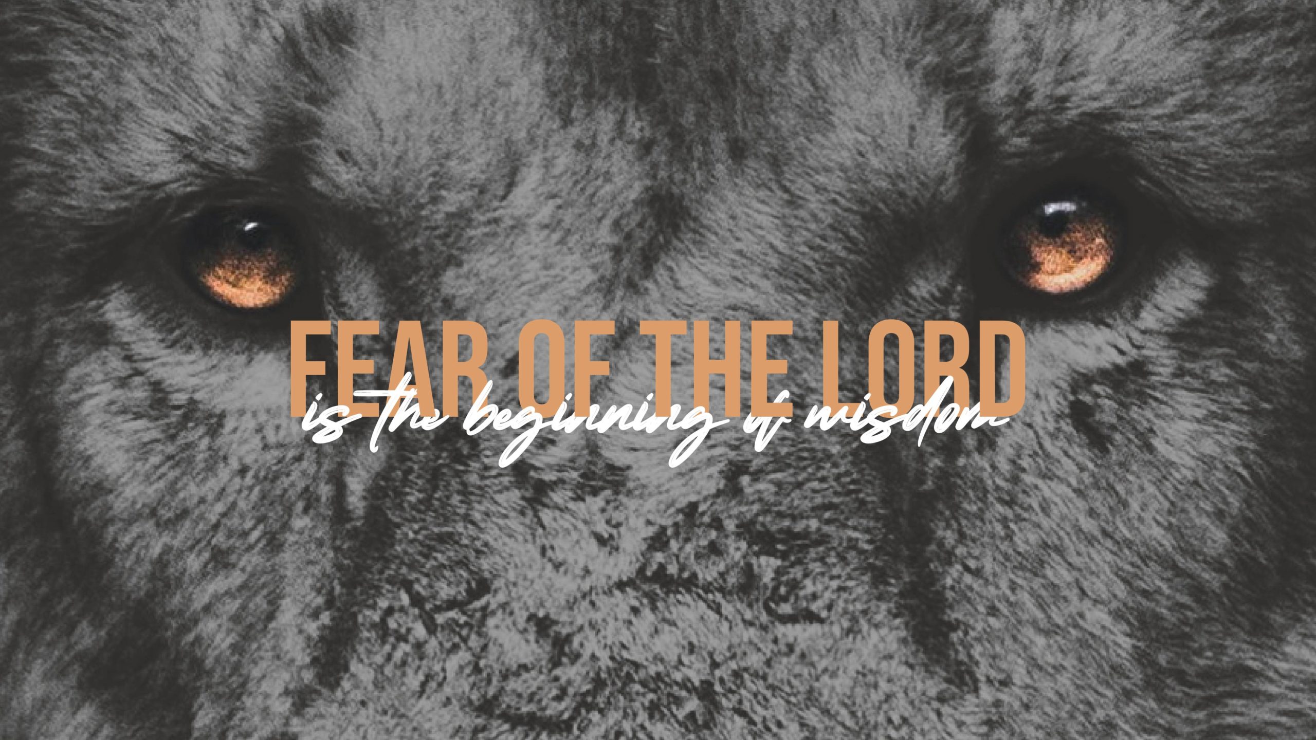 Fear of the Lord is the Beginning of Wisdom Week 5